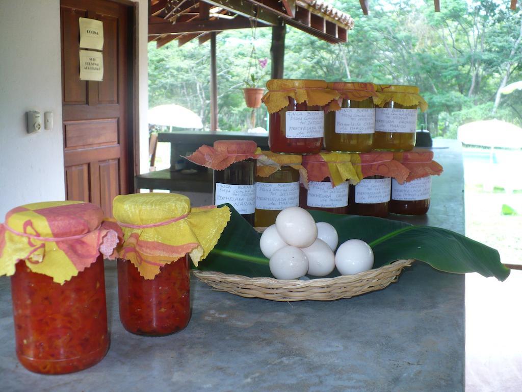 Finca Buena Fuente Residence Hotel 尼科亚 外观 照片