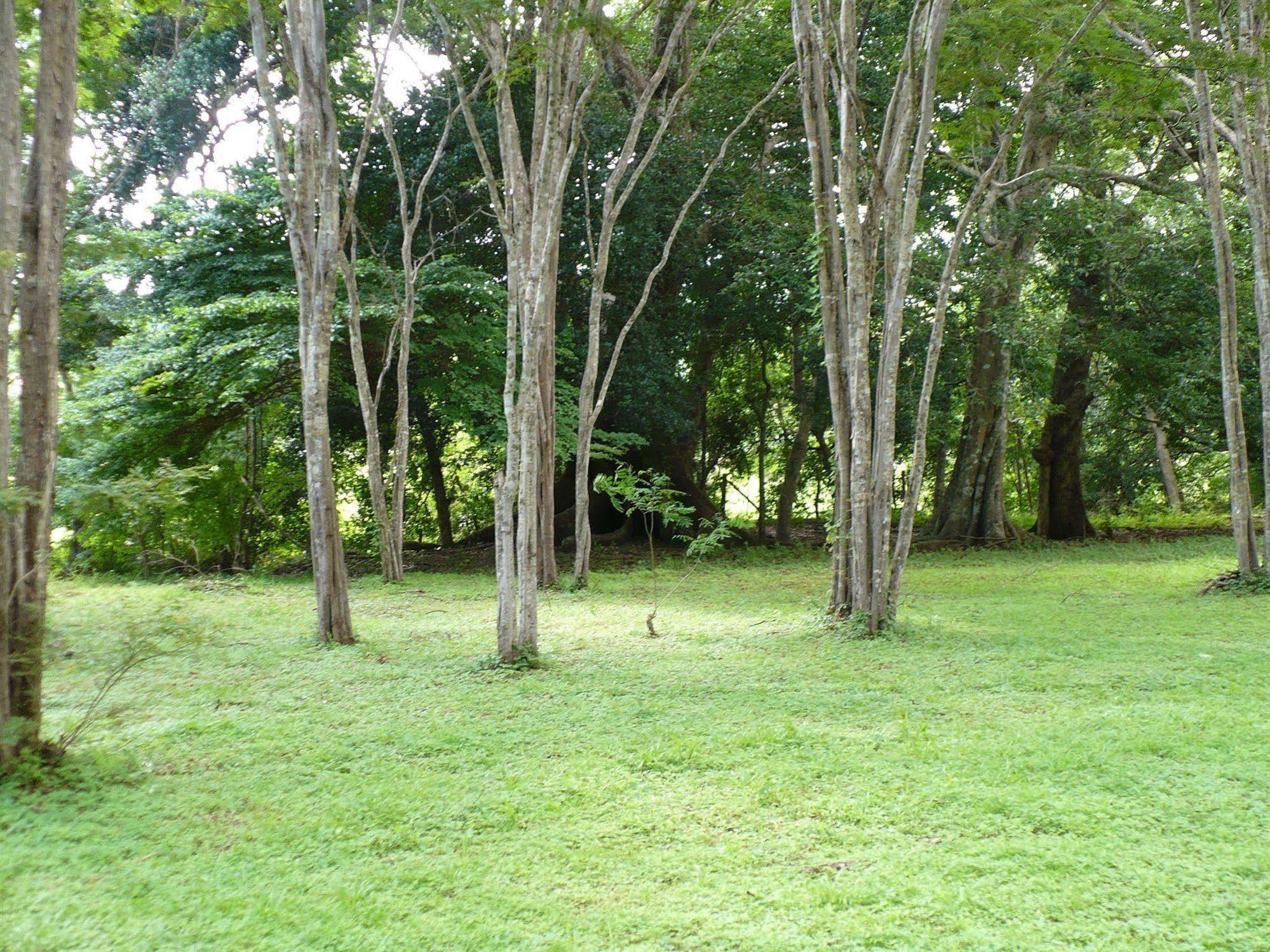 Finca Buena Fuente Residence Hotel 尼科亚 外观 照片