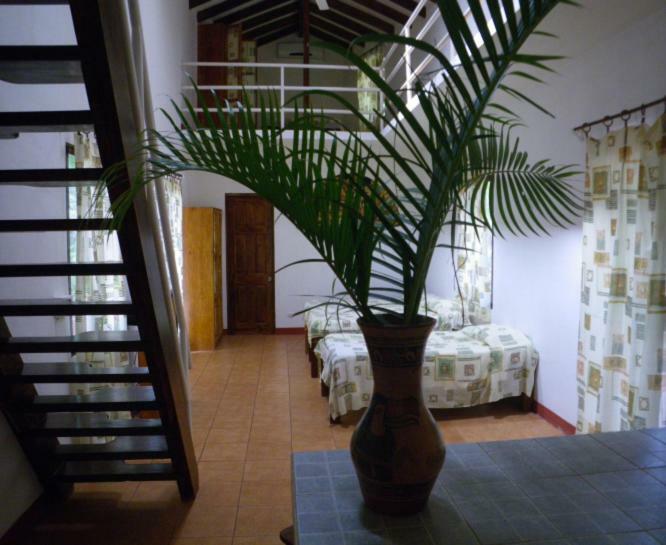 Finca Buena Fuente Residence Hotel 尼科亚 外观 照片